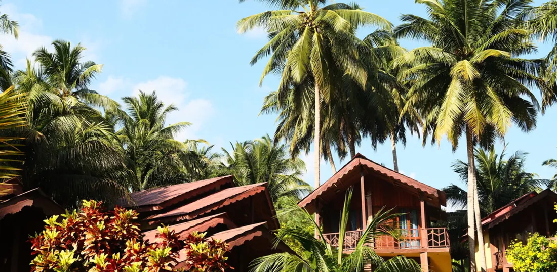 Wooden beach huts with red roofs under tall palm trees