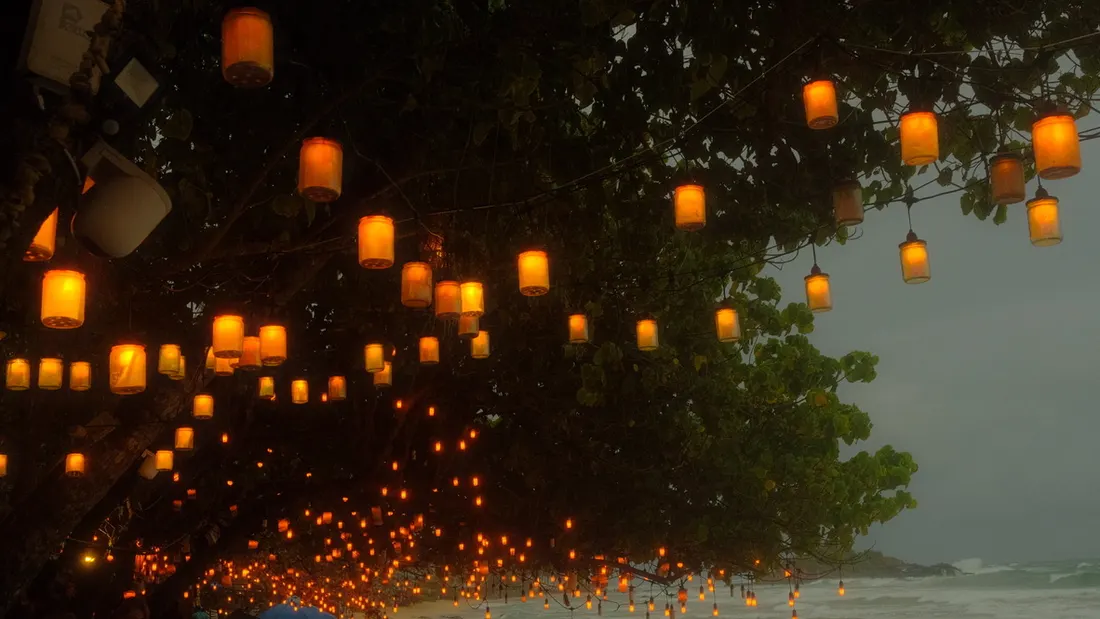 Paper lanterns glowing in the branches of a tree at night